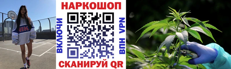 Что такое Волхов Кокаин  МАРИХУАНА  Галлюциногенные грибы  ГАШ  mega как войти  МЕФ 