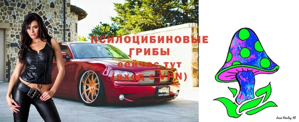 ALPHA PVP Волоколамск