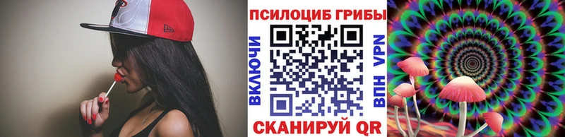Псилоцибиновые грибы прущие грибы  где купить   blacksprut ссылки  Волхов 